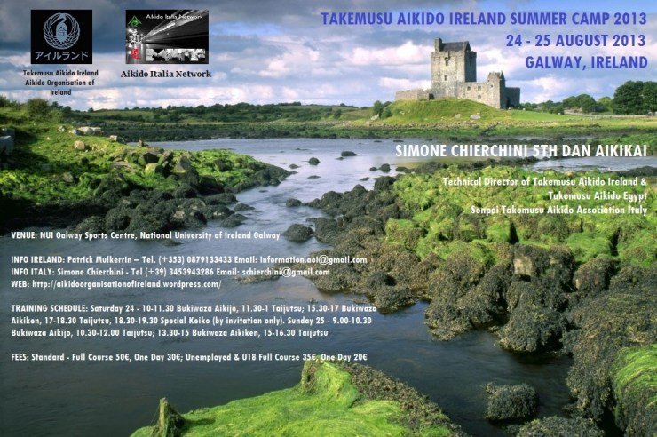 Summer Camp Galway 2013